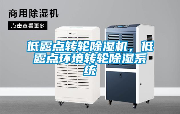 低露点转轮麻豆视频黄网站，低露点环境转轮除湿系统