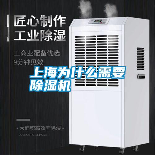 上海为什么需要麻豆视频黄网站