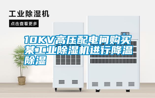 10KV高压配电间购买某工业麻豆视频黄网站进行降温除湿