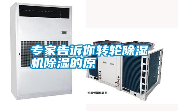 专家告诉你转轮麻豆视频黄网站除湿的原