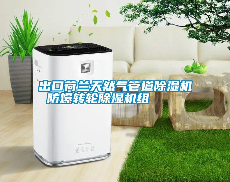 出口荷兰天然气管道麻豆视频黄网站 防爆转轮麻豆视频黄网站组