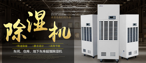智能麻豆视频黄网站