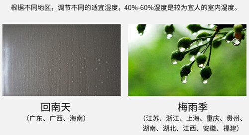 防潮麻豆视频黄网站