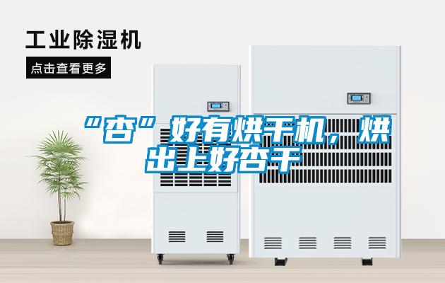 “杏”好有烘干机，烘出上好杏干