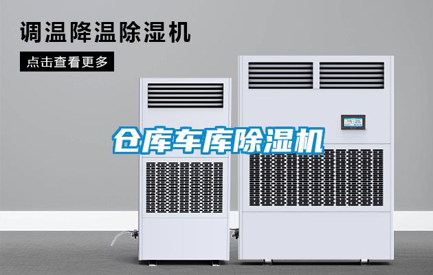 仓库车库麻豆视频黄网站