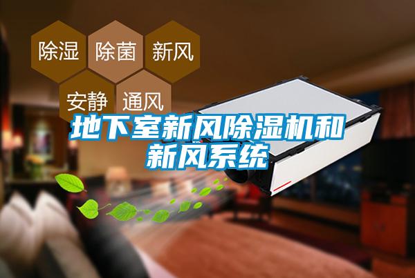 地下室新风麻豆视频黄网站和新风系统