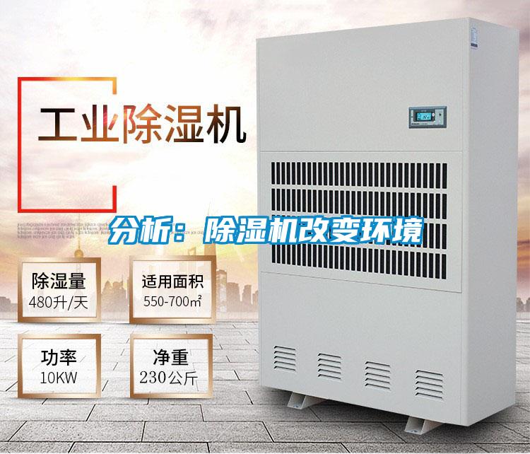 分析：麻豆视频黄网站改变环境