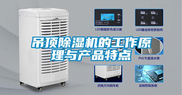 吊顶麻豆视频黄网站的工作原理与产品特点
