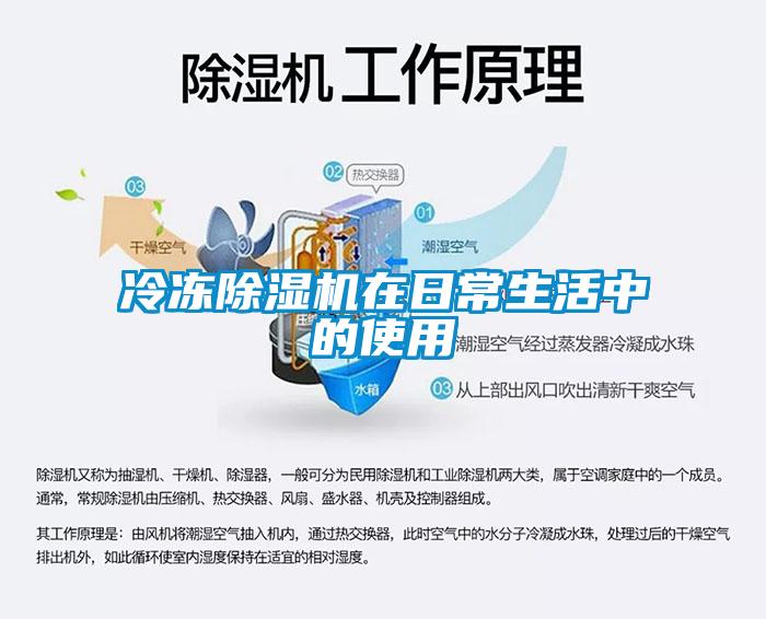 冷冻麻豆视频黄网站在日常生活中的使用