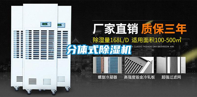 分体式麻豆视频黄网站