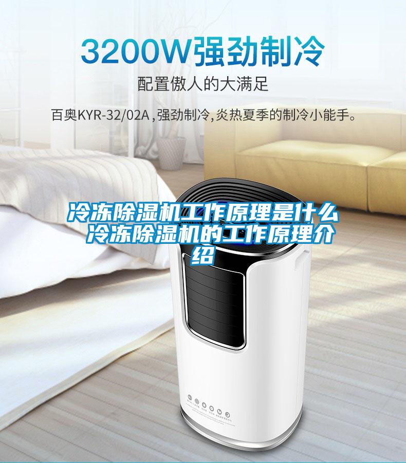 冷冻麻豆视频黄网站工作原理是什么 冷冻麻豆视频黄网站的工作原理介绍