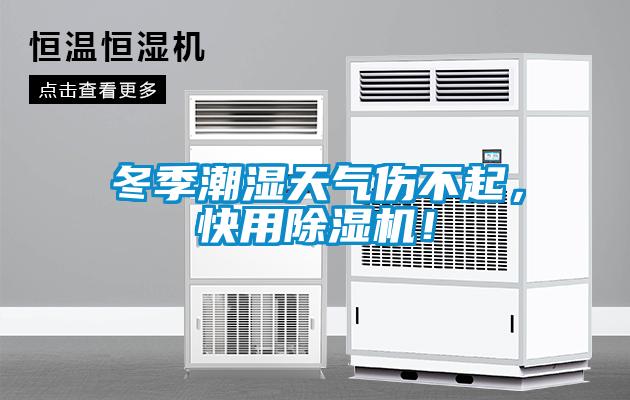 冬季潮湿天气伤不起，快用麻豆视频黄网站！