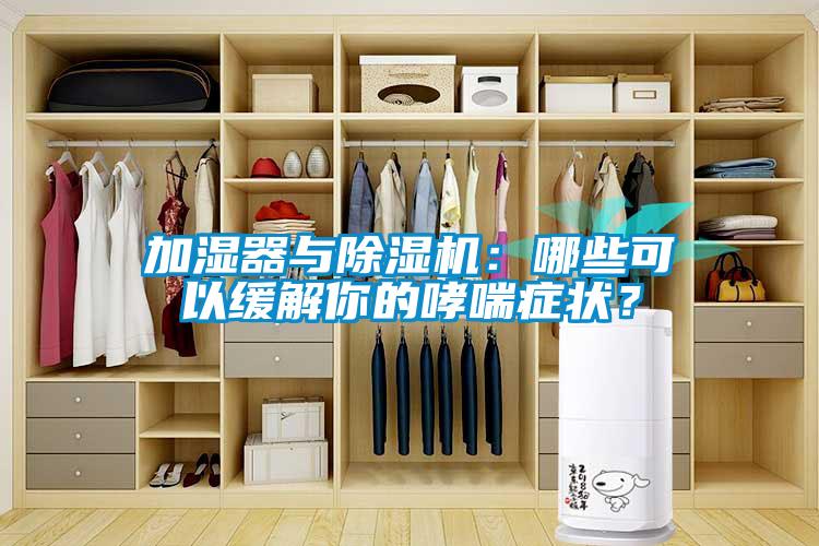 加湿器与麻豆视频黄网站：哪些可以缓解你的哮喘症状？