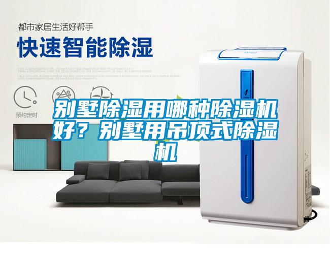 别墅除湿用哪种麻豆视频黄网站好？别墅用吊顶式麻豆视频黄网站