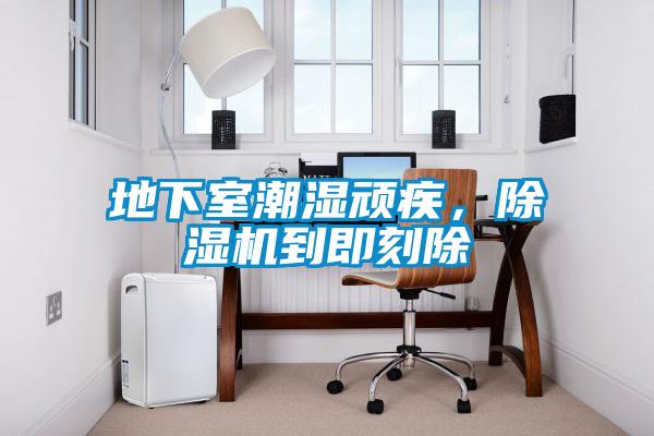 地下室潮湿顽疾，麻豆视频黄网站到即刻除