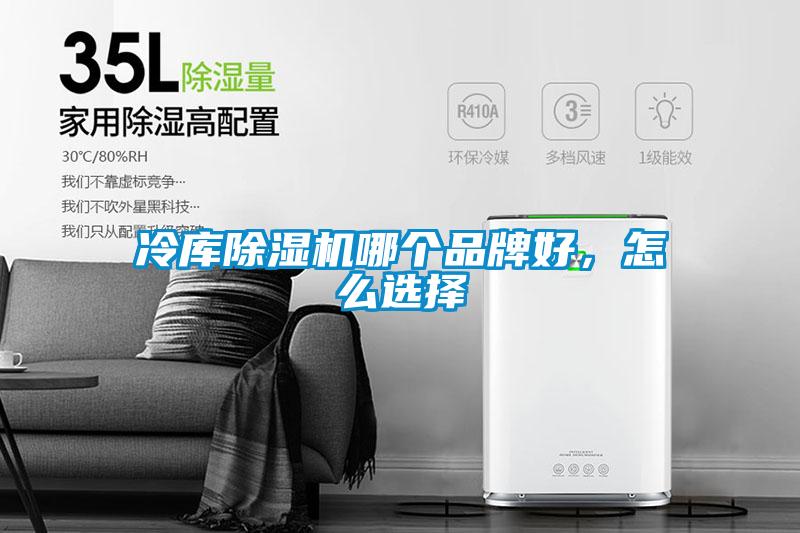 冷库麻豆视频黄网站哪个品牌好，怎么选择