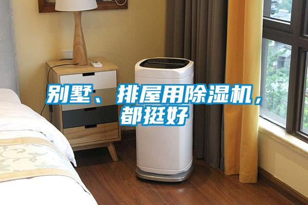别墅、排屋用麻豆视频黄网站，都挺好