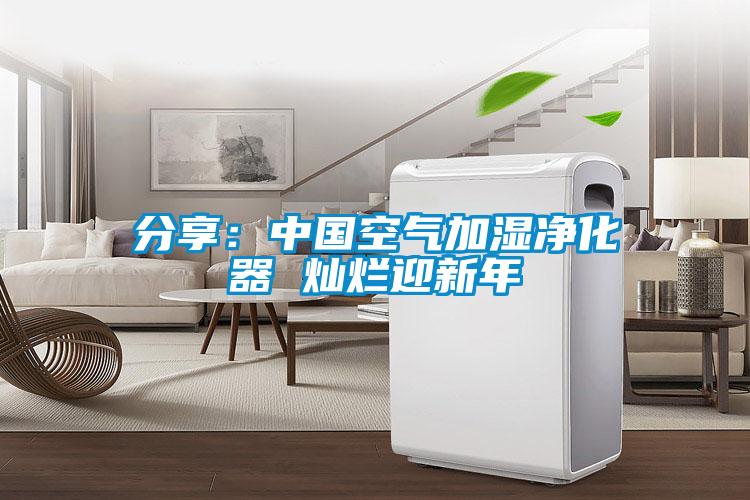 分享：中国空气加湿净化器 灿烂迎新年