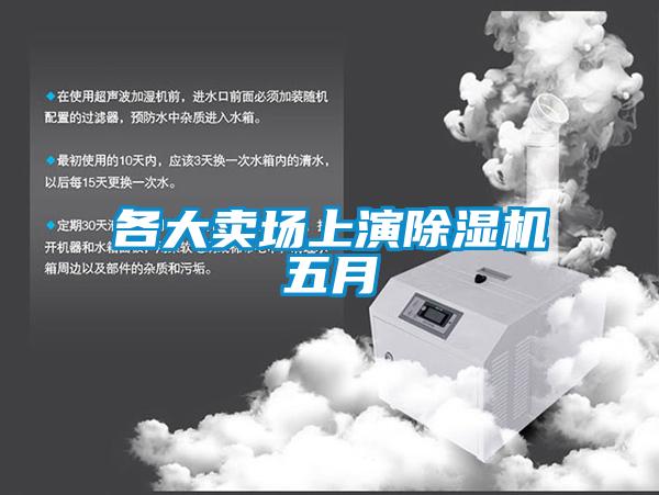 各大卖场上演麻豆视频黄网站五月