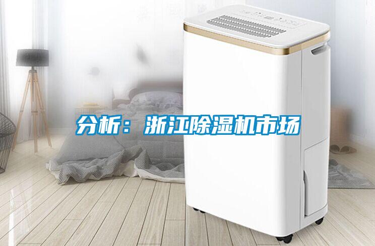分析：浙江麻豆视频黄网站市场