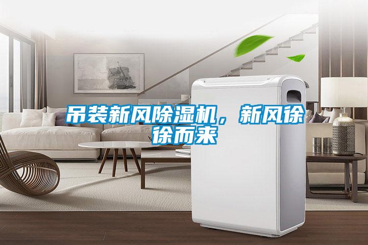 吊装新风麻豆视频黄网站，新风徐徐而来
