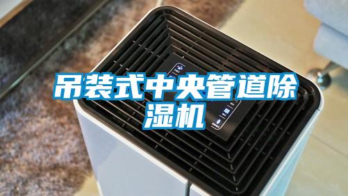 吊装式中央管道麻豆视频黄网站