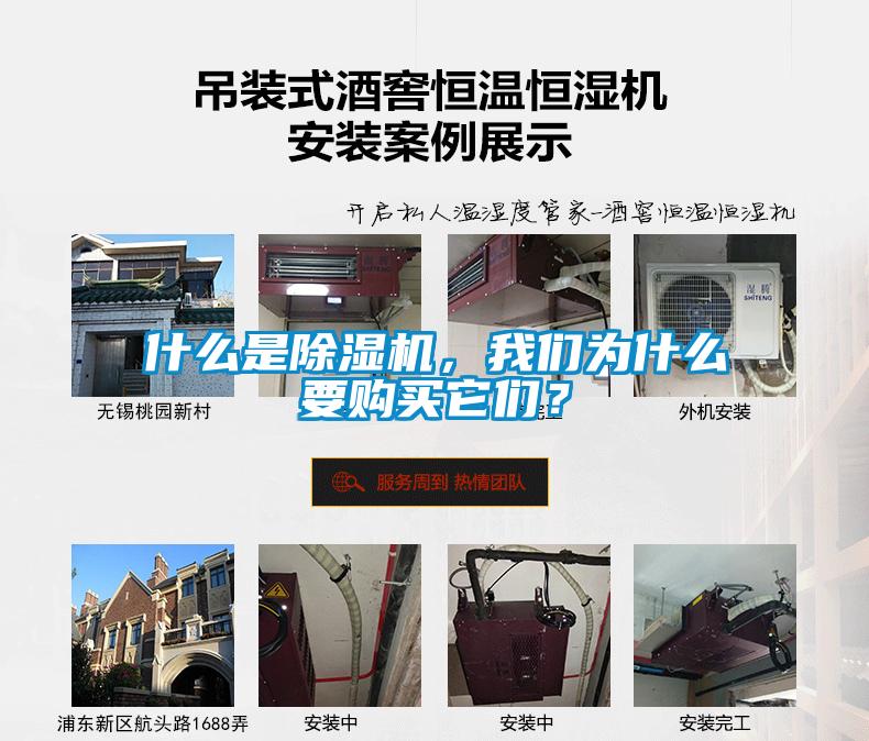 什么是麻豆视频黄网站，麻豆APP官网为什么要购买它们？