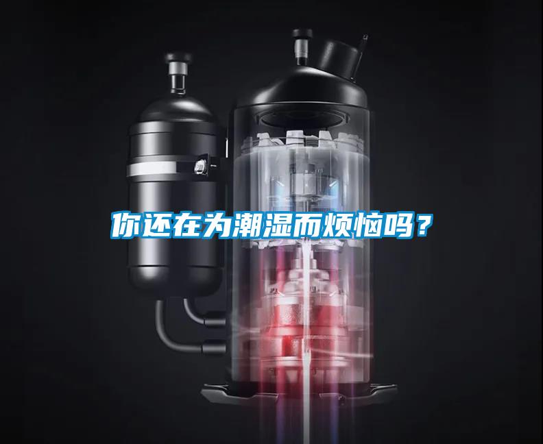 你还在为潮湿而烦恼吗？