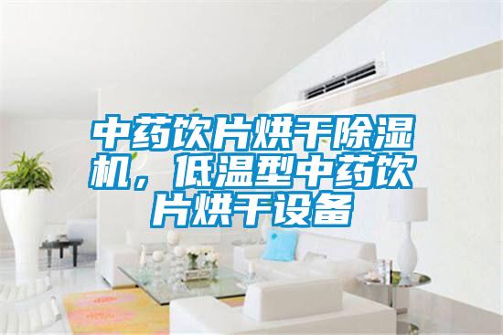 中药饮片烘干麻豆视频黄网站，低温型中药饮片烘干设备