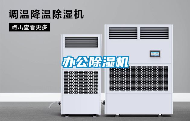 办公麻豆视频黄网站
