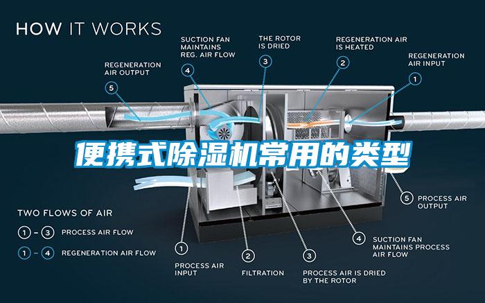 便携式麻豆视频黄网站常用的类型