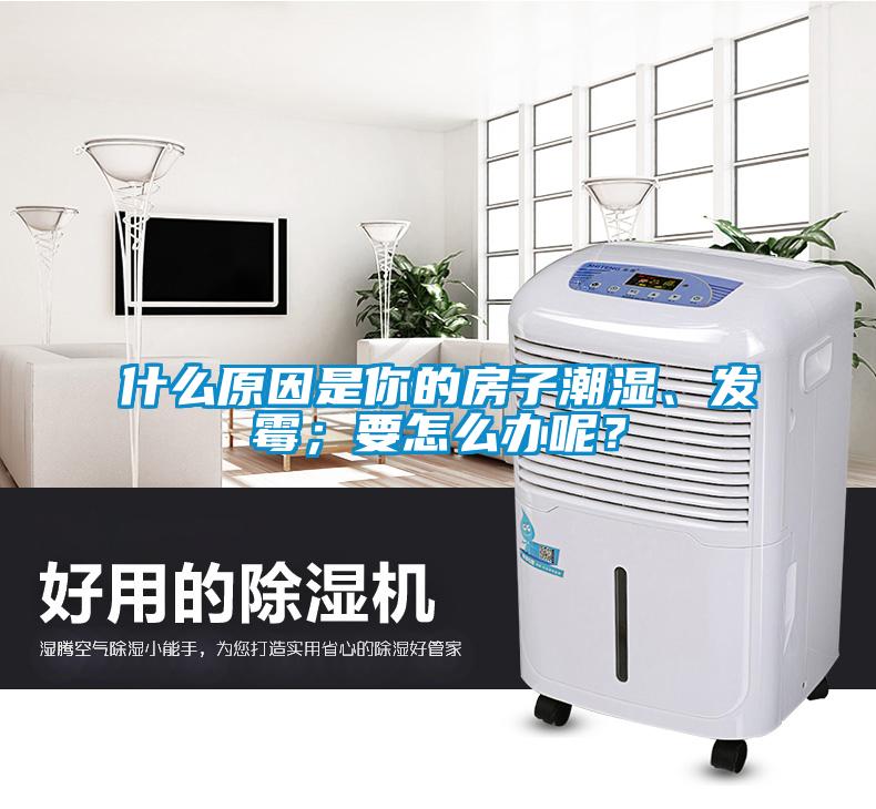 什么原因是你的房子潮湿、发霉；要怎么办呢？