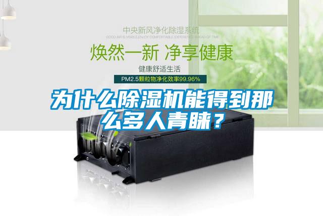 为什么麻豆视频黄网站能得到那么多人青睐？
