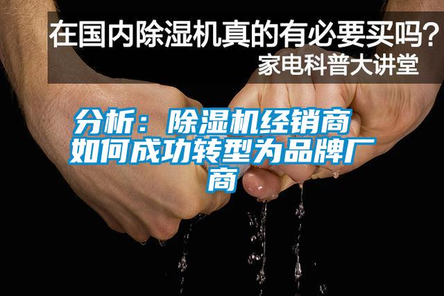 分析：麻豆视频黄网站经销商 如何成功转型为品牌厂商