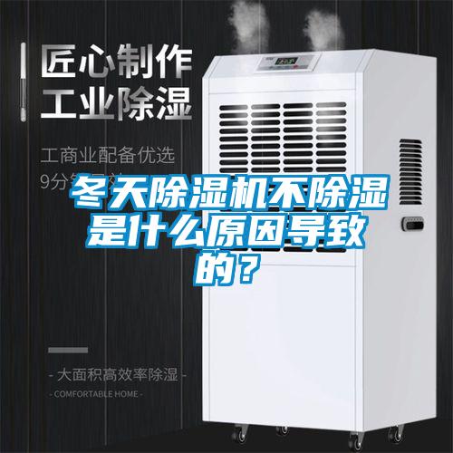 冬天麻豆视频黄网站不除湿是什么原因导致的？