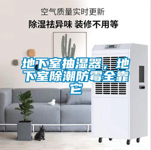 地下室抽湿器，地下室除潮防霉全靠它