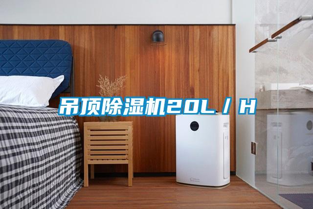 吊顶麻豆视频黄网站20L／H