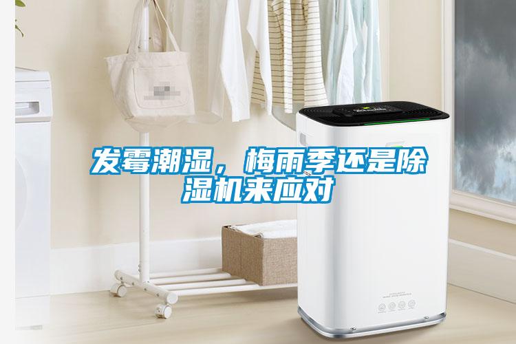 发霉潮湿，梅雨季还是麻豆视频黄网站来应对