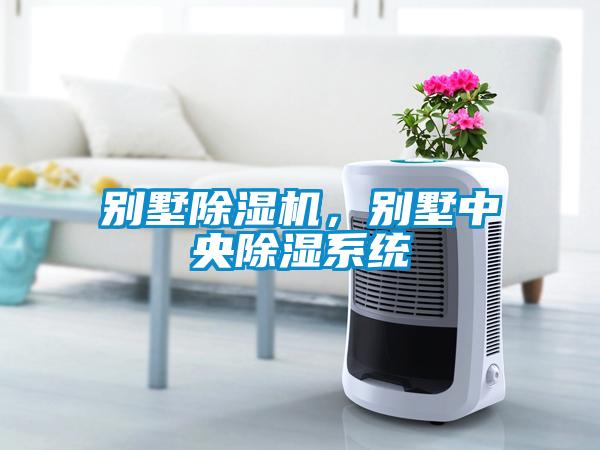别墅麻豆视频黄网站，别墅中央除湿系统
