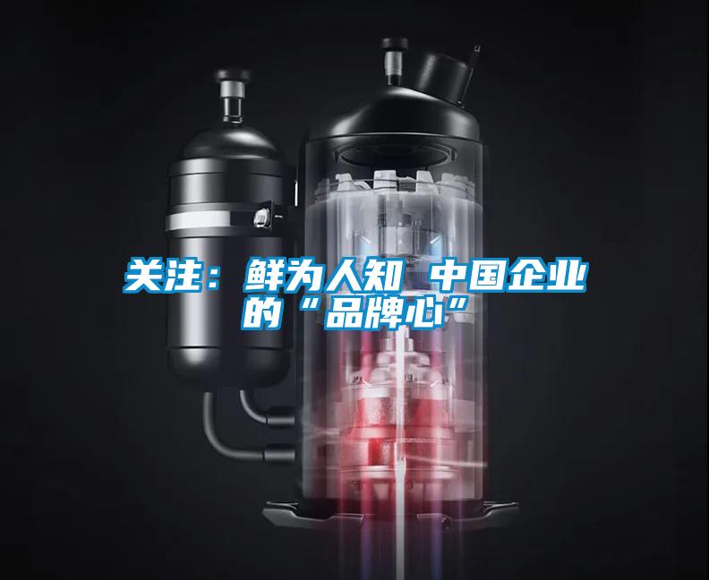 关注：鲜为人知 中国企业的“品牌心”