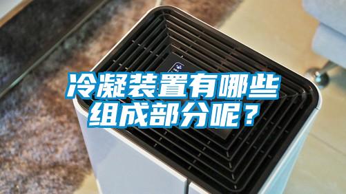 冷凝装置有哪些组成部分呢？