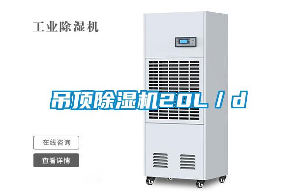 吊顶麻豆视频黄网站20L／d