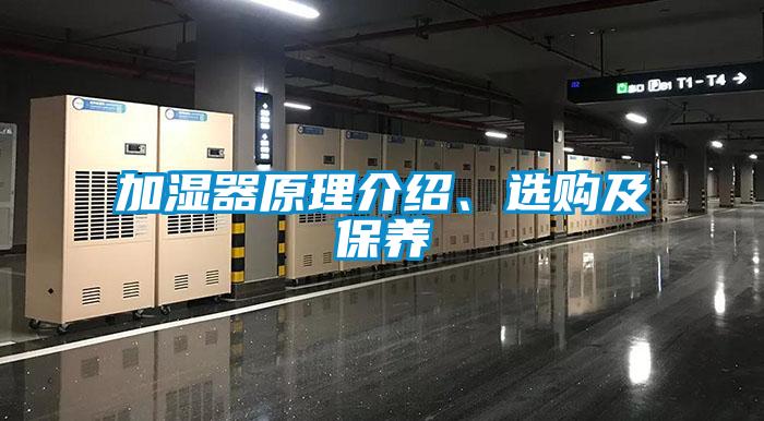加湿器原理介绍、选购及保养