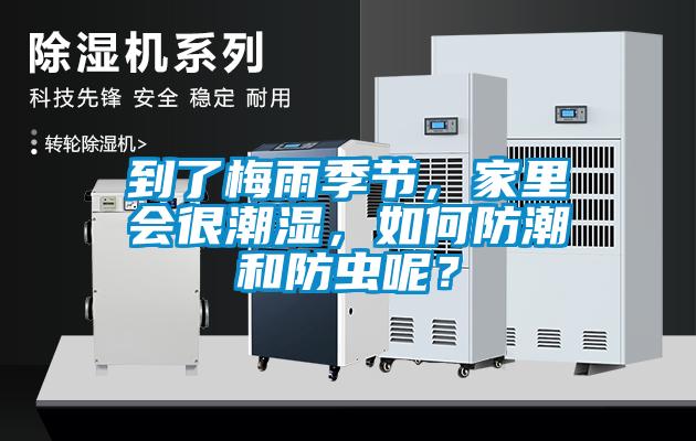 到了梅雨季节，家里会很潮湿，如何防潮和防虫呢？