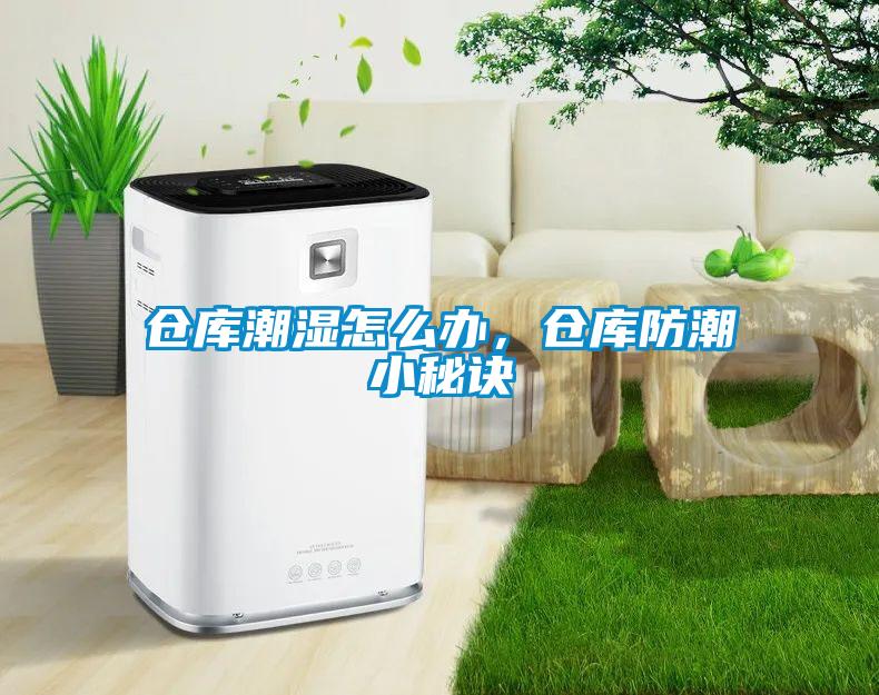 仓库潮湿怎么办，仓库防潮小秘诀