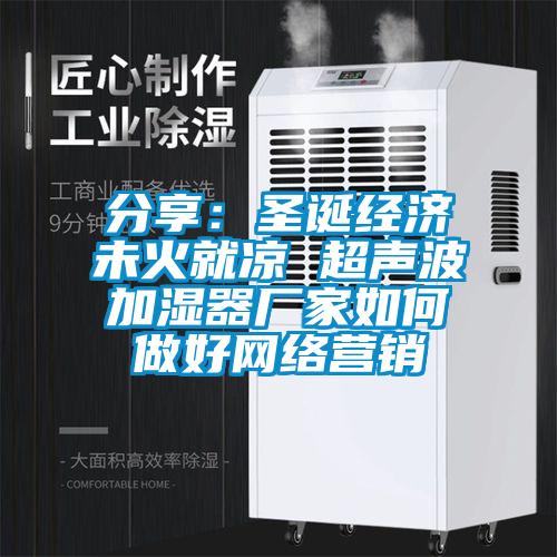 分享：圣诞经济未火就凉 超声波加湿器厂家如何做好网络营销
