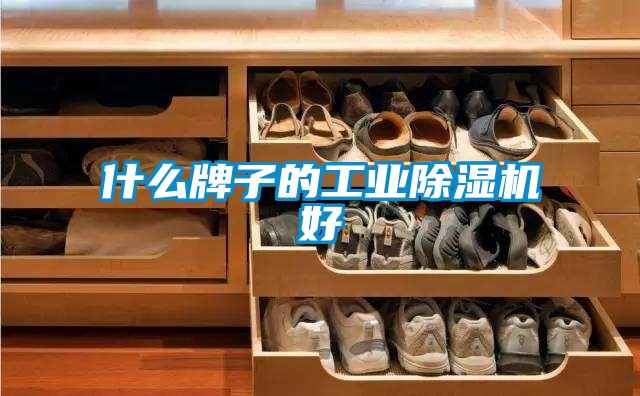 什么牌子的工业麻豆视频黄网站好