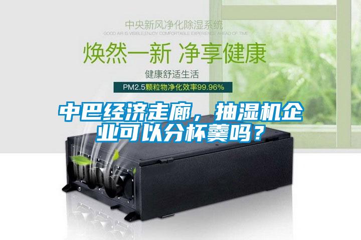 中巴经济走廊，抽湿机企业可以分杯羹吗？