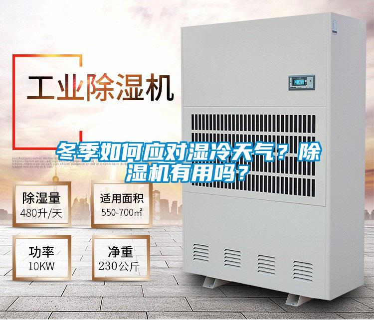 冬季如何应对湿冷天气？麻豆视频黄网站有用吗？