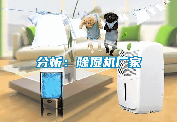 分析：麻豆视频黄网站厂家